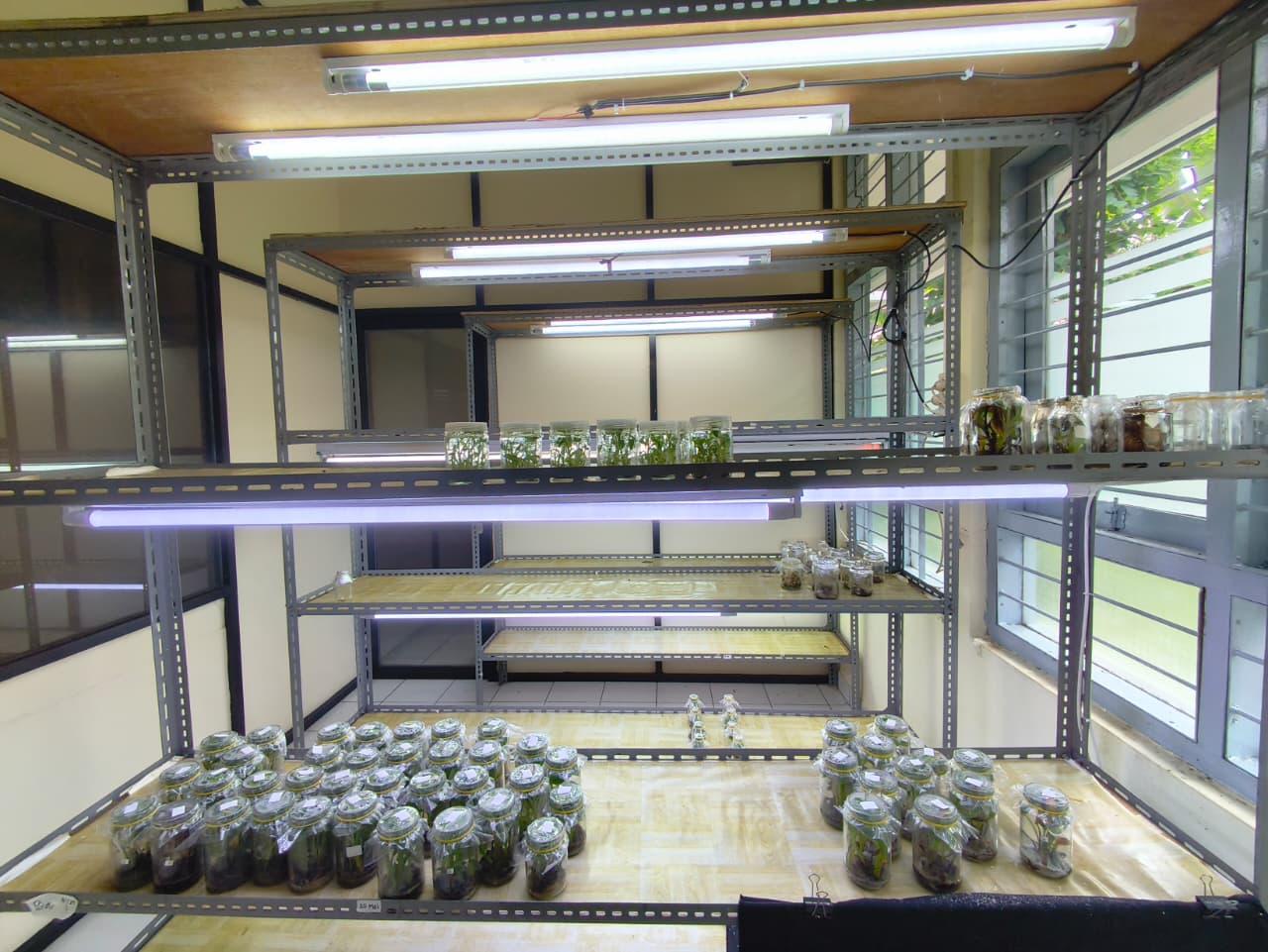 Laboratorium Struktur dan Fungsi foto 3